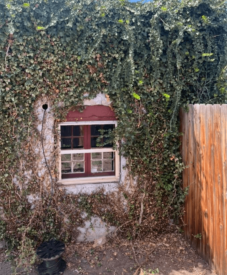 Garden-level storm window installed at James’s Baltimore home