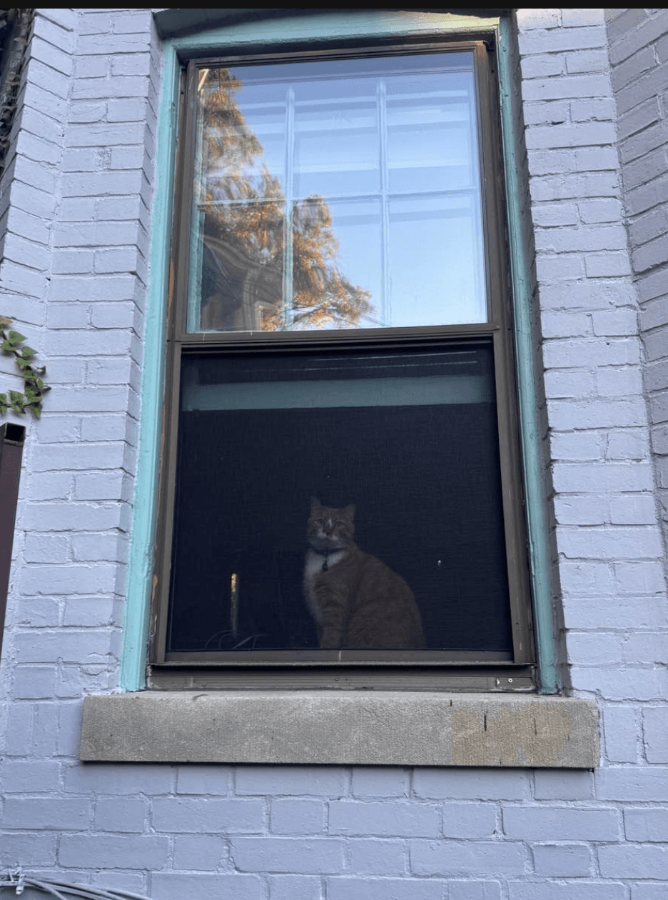 Storm window installed at Sean’s Washington home