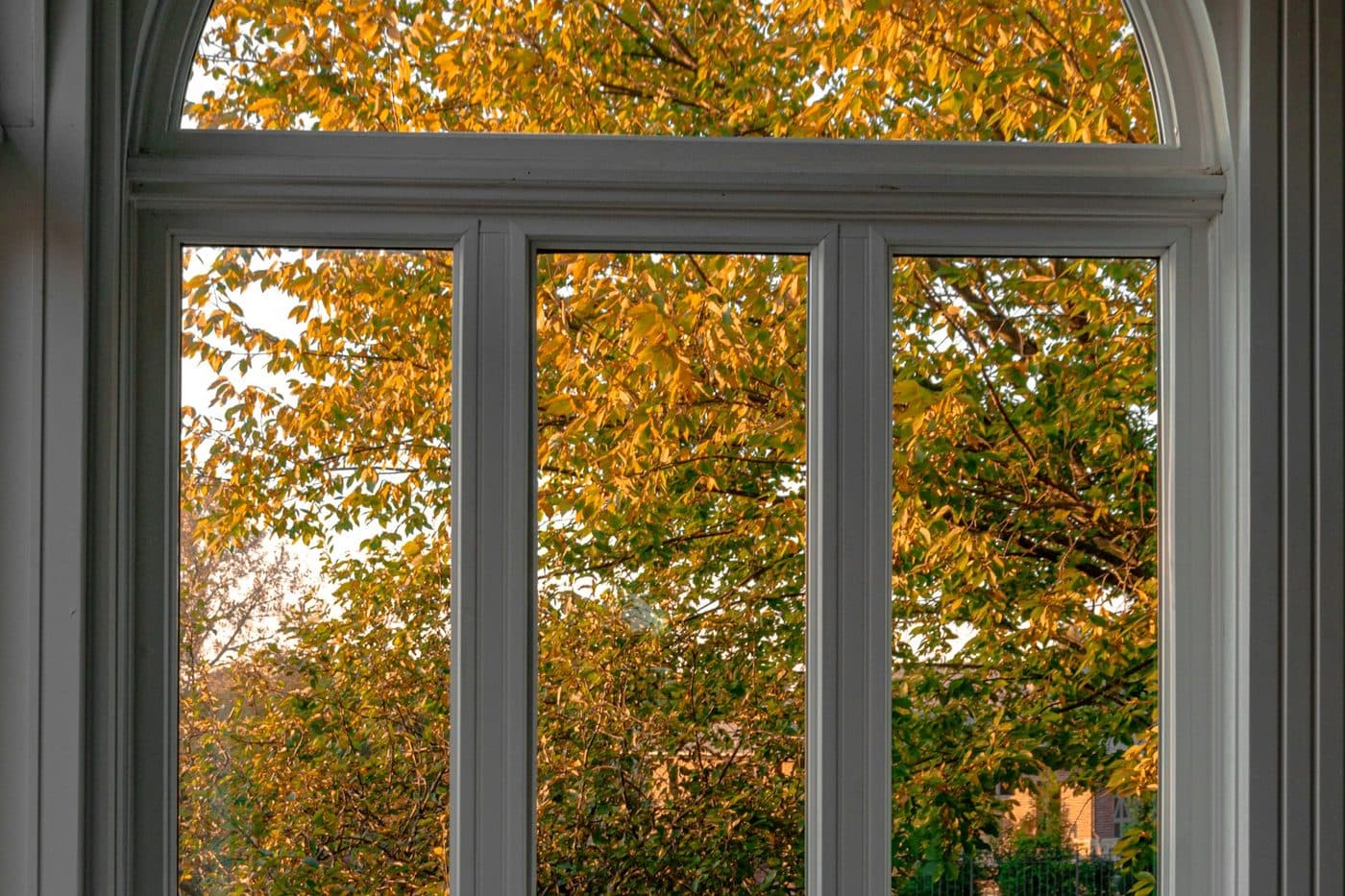 An arched window with white trim in autumn light