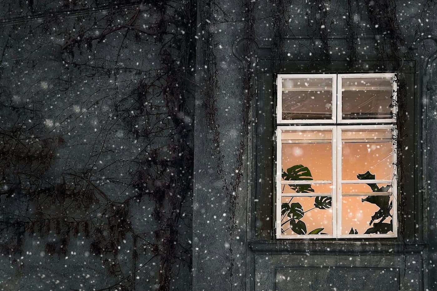 A snowy exterior with a lit window