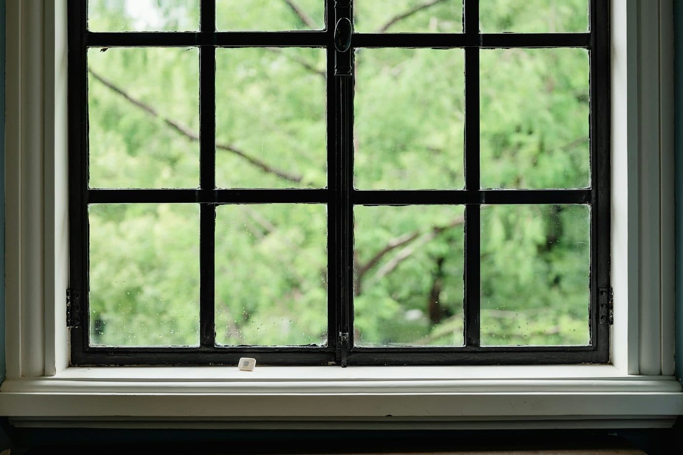 A multi-pane window looking out onto green trees