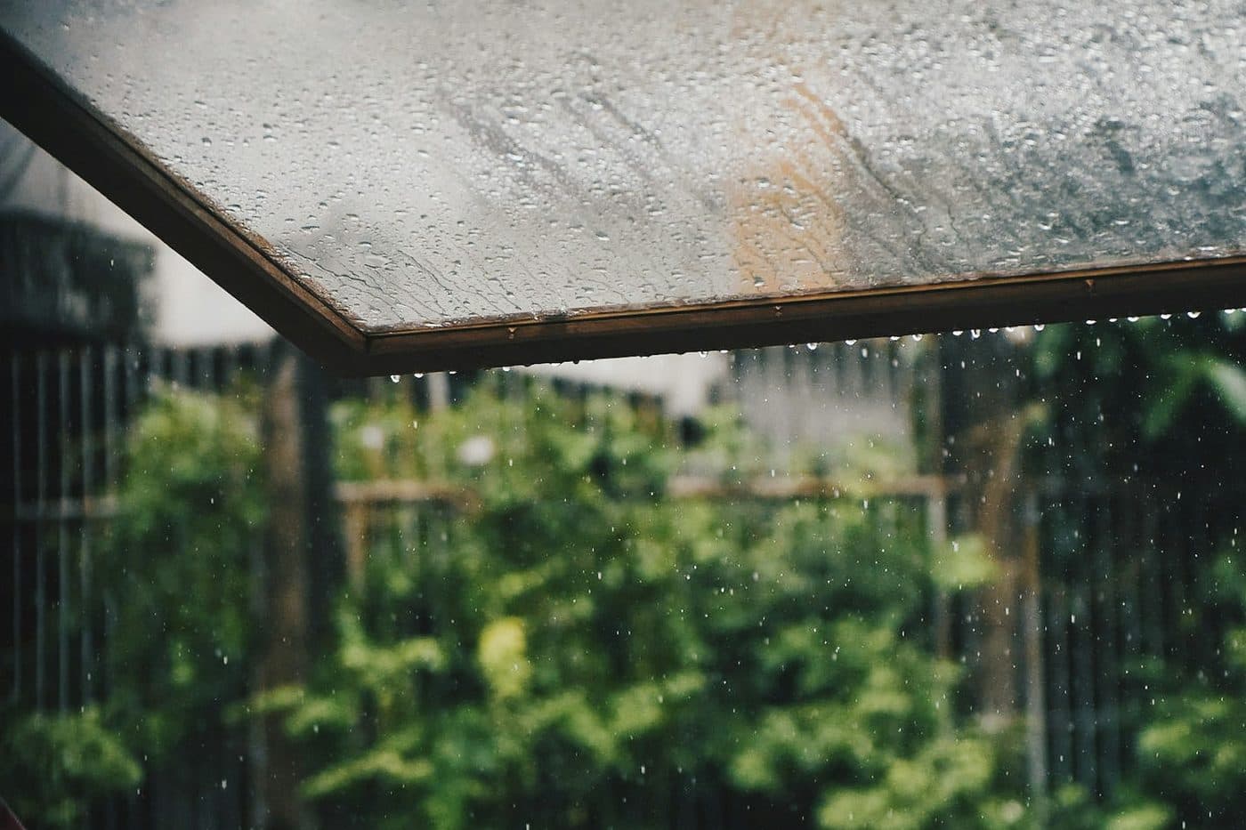 Raindrops on a window pane