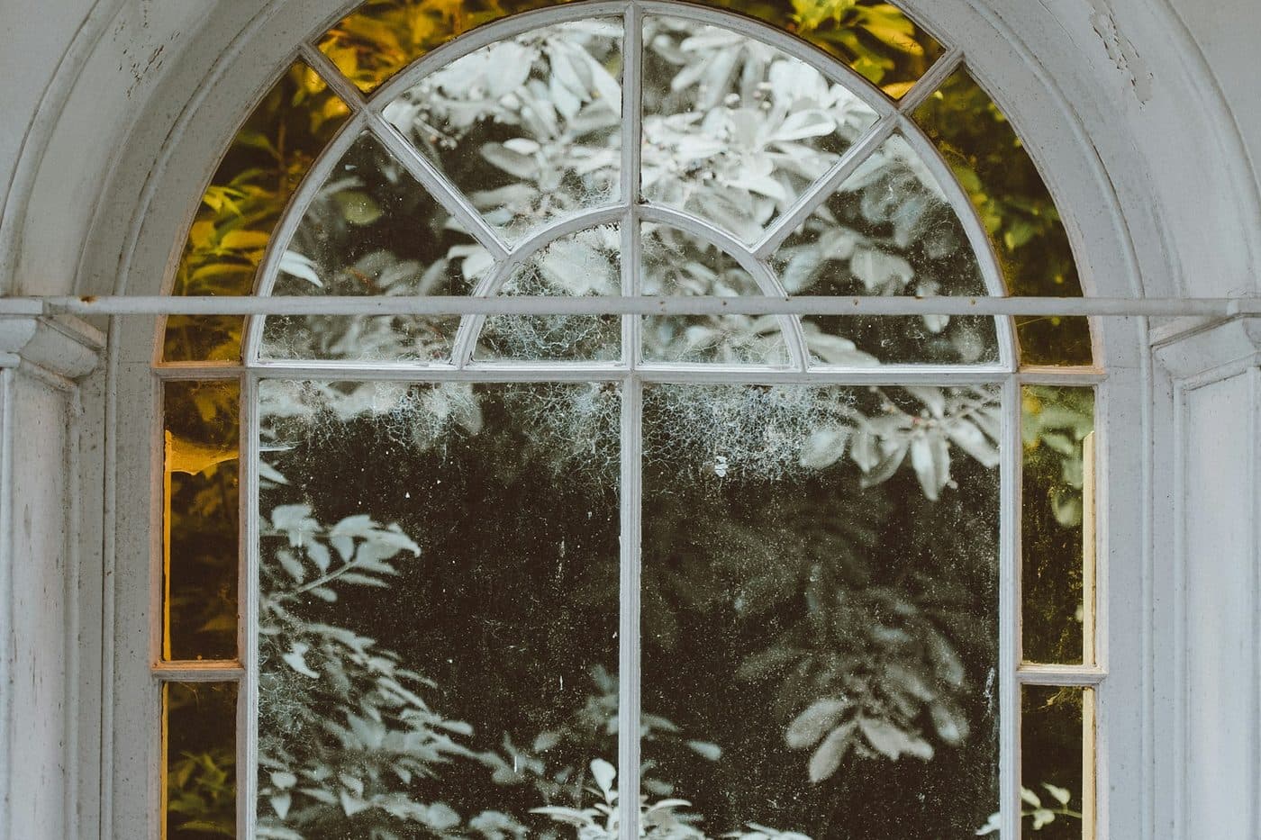 An arched window framed by white trim and green foliage