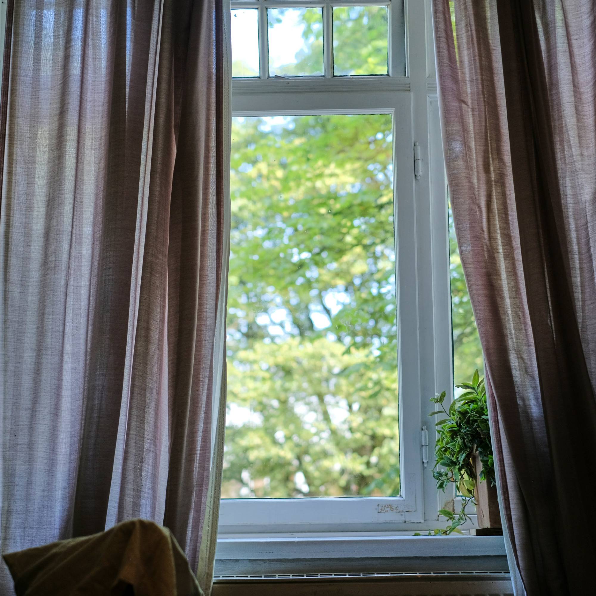 Interior Storm Windows